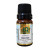 ESSÊNCIA ALECRIM 10ML 